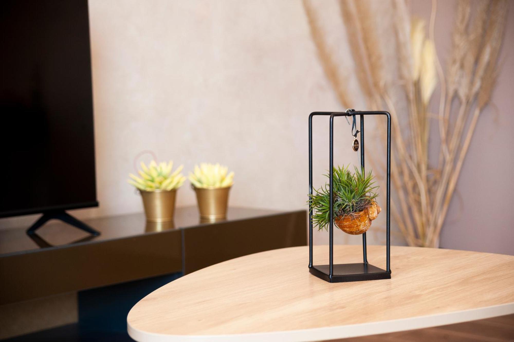 Apartman Lorena Rovinj Exteriér fotografie